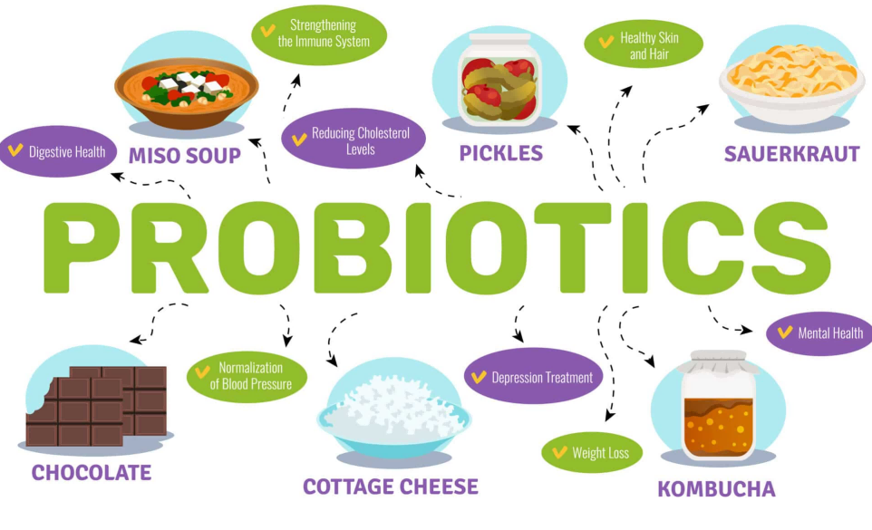 77004946fa3004a13f138252c676073 77004946fa3004a13f138252c676073